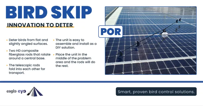 Humane Bird Control Solutions | Eagle Eye Bird Control