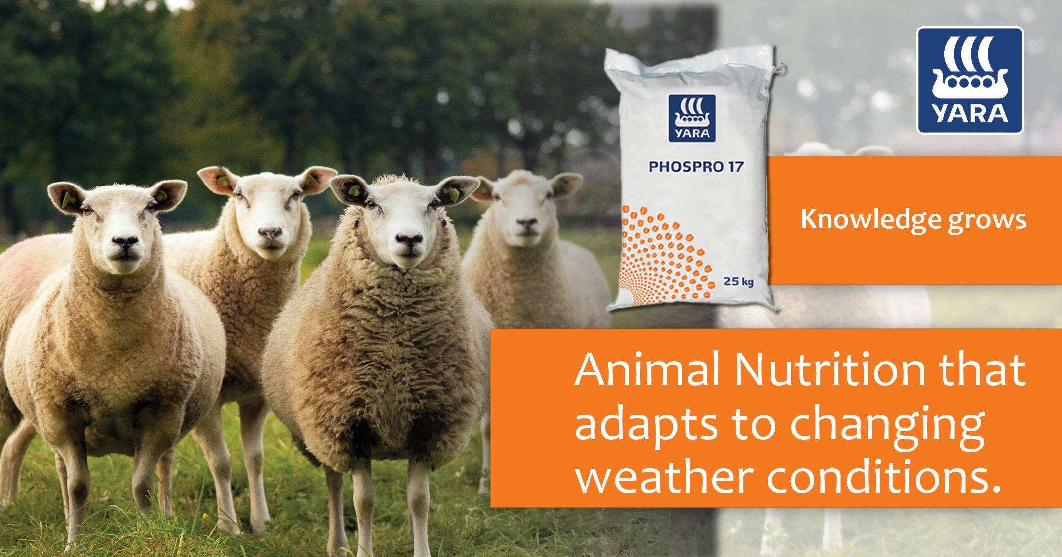 PhosPro 17 animal nutrition that adapts to changing weather conditions | YARA Animal Nutrition