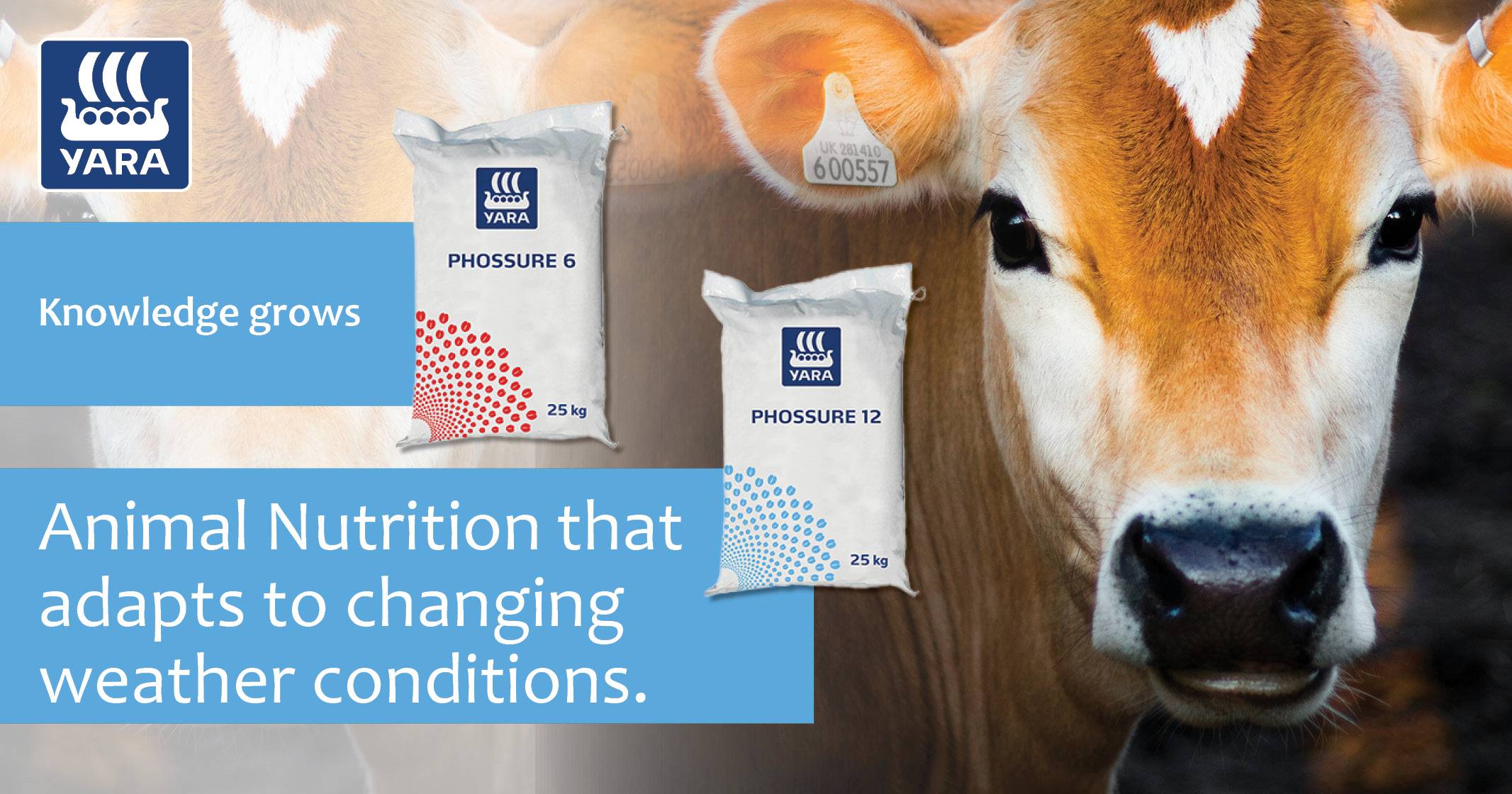 PhosSure 6 and 12 | YARA Animal Nutrition