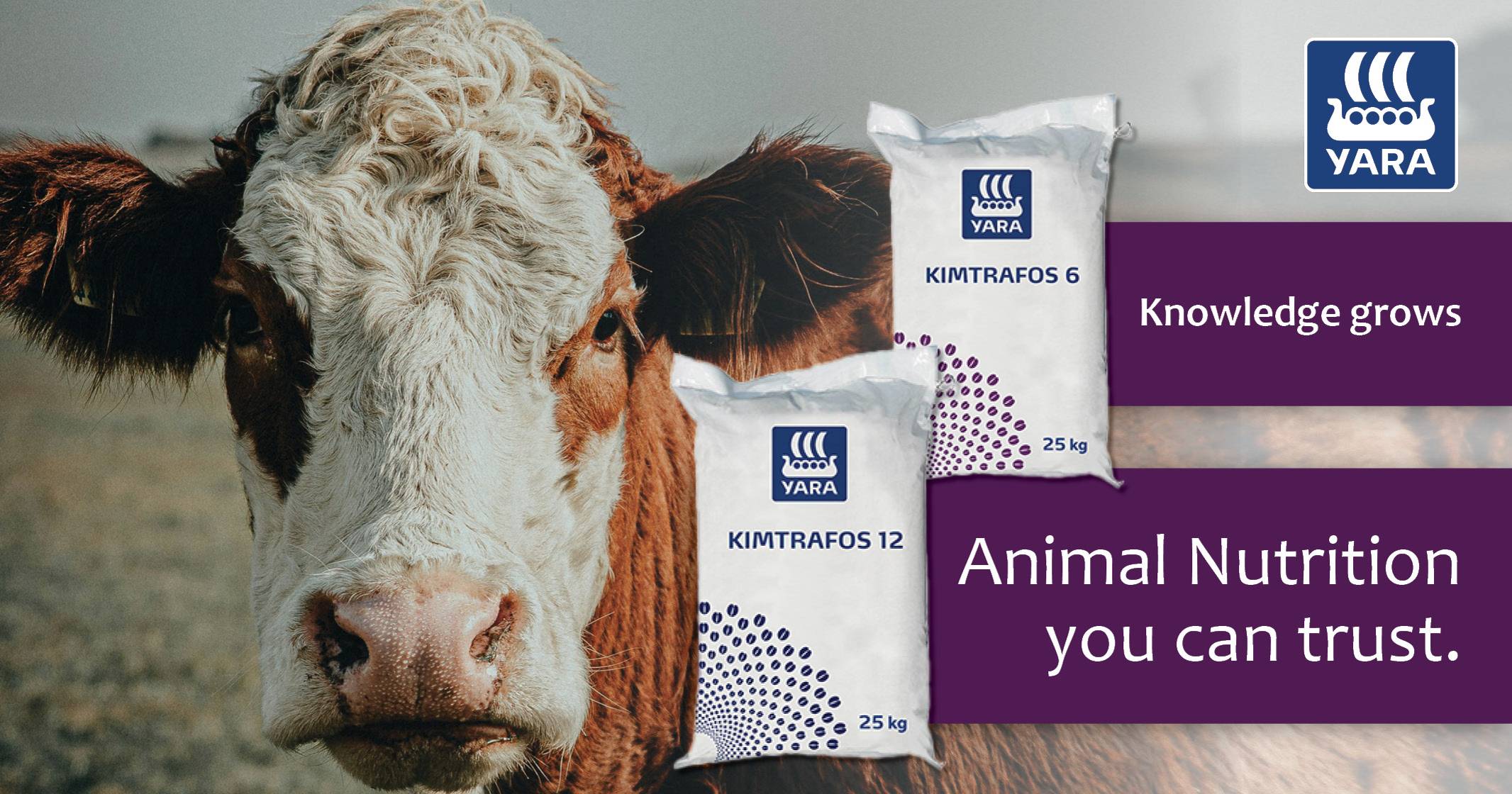 Kimtrafos 6 and 12 Grandé | YARA Animal Nutrition