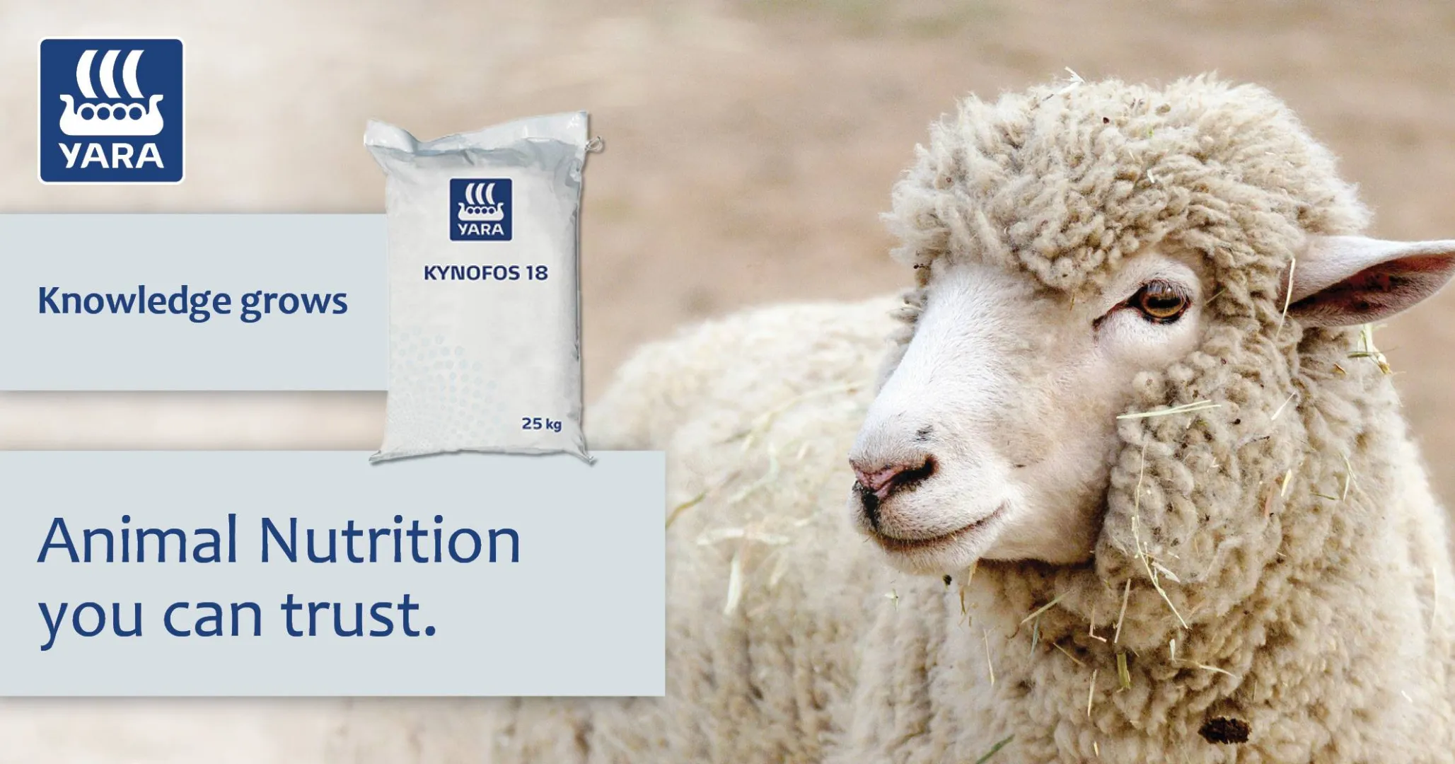 Kynofos 18 Grandé | Animal nutrition you can trust | YARA Animal Nutrition