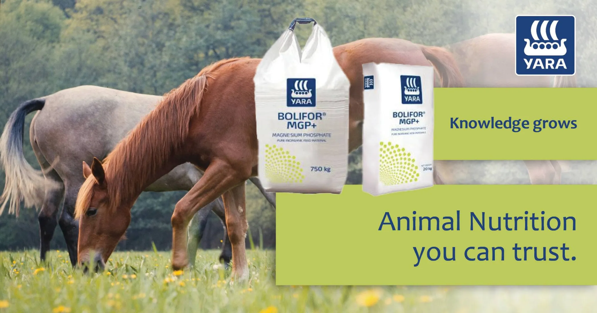 Bolifor® MGP+ animal nutrition you can trust | YARA Animal Nutrition