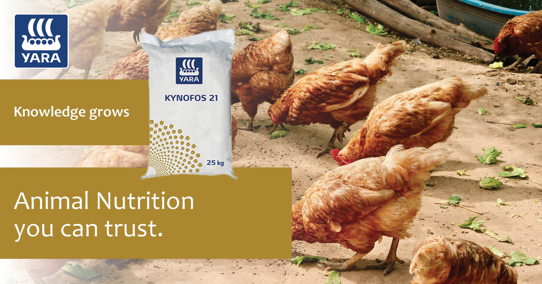 Kynofos 21 animal nutrition you can trust | YARA Animal Nutrition