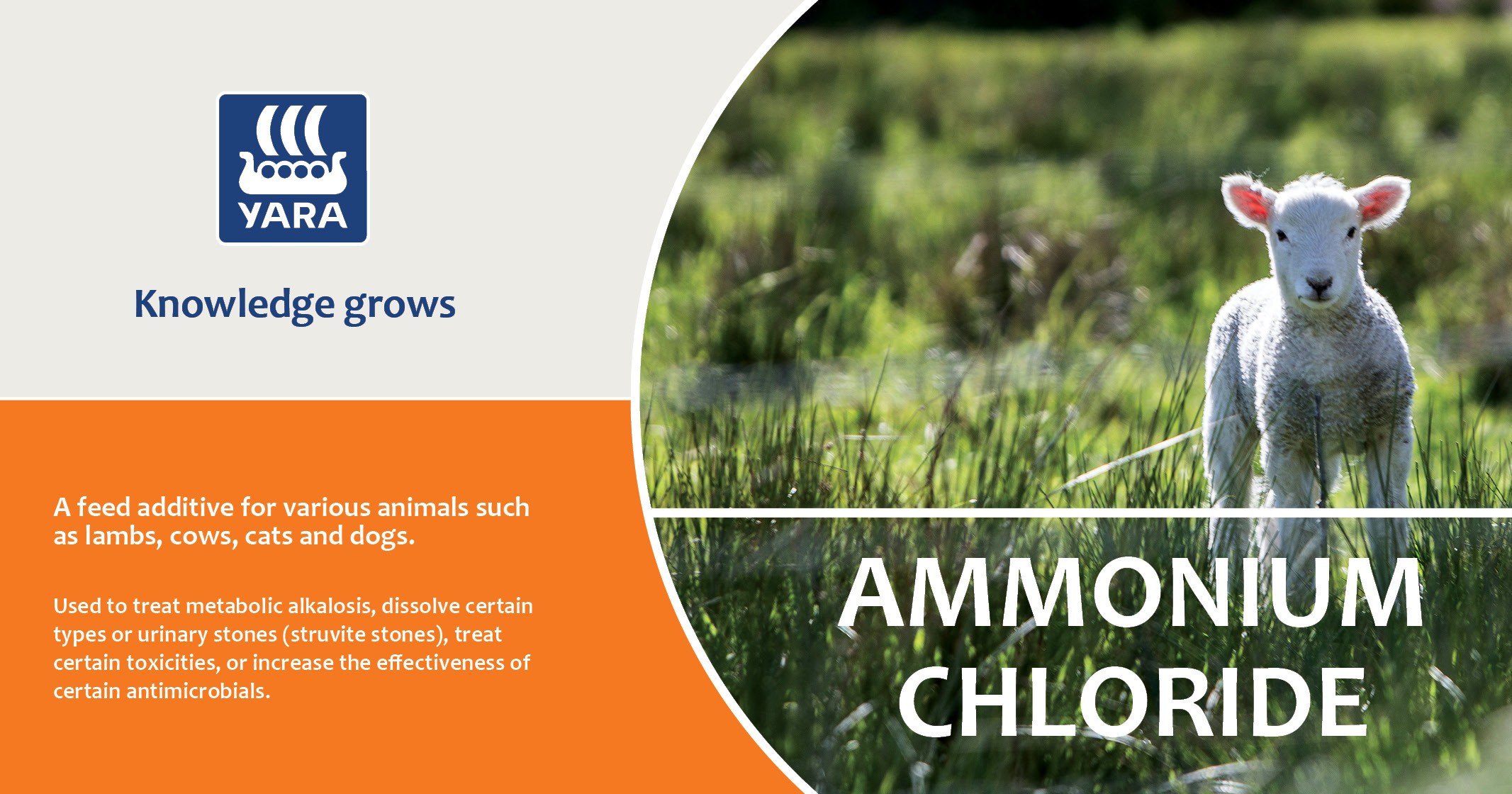 Ammonium Chloride | YARA Animal Nutrition