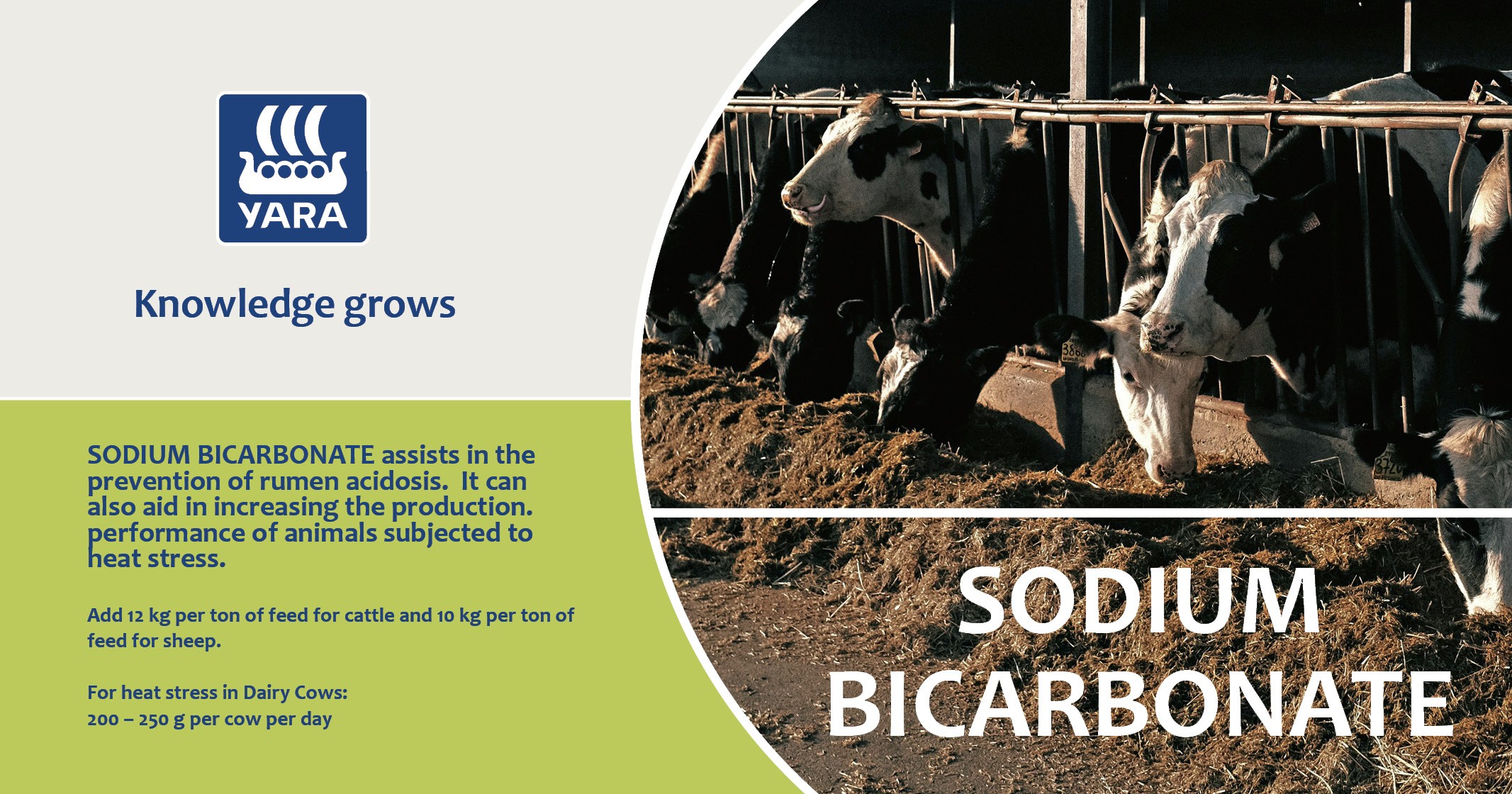 Sodium Bicarbonate | YARA Animal Nutrition