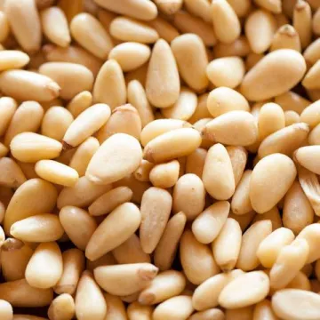 Premium Selected Pine Nuts Bulk Export Pine Nuts For Snack Production And Food Manufacturing With Reliable Supply