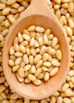 Premium Selected Pine Nuts Bulk Export Pine Nuts For Snack Production And Food Manufacturing With Reliable Supply