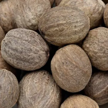 Premium Natural Nutmeg for Sale Bulk Supply of Nutmeg High Quality Fresh and Pure Nutmeg at Competitive Prices