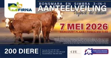 Save the date | Bonsmara & Simbra 3-in-1 breeding auction  | 7 May 2026 | 11:00 | Firna