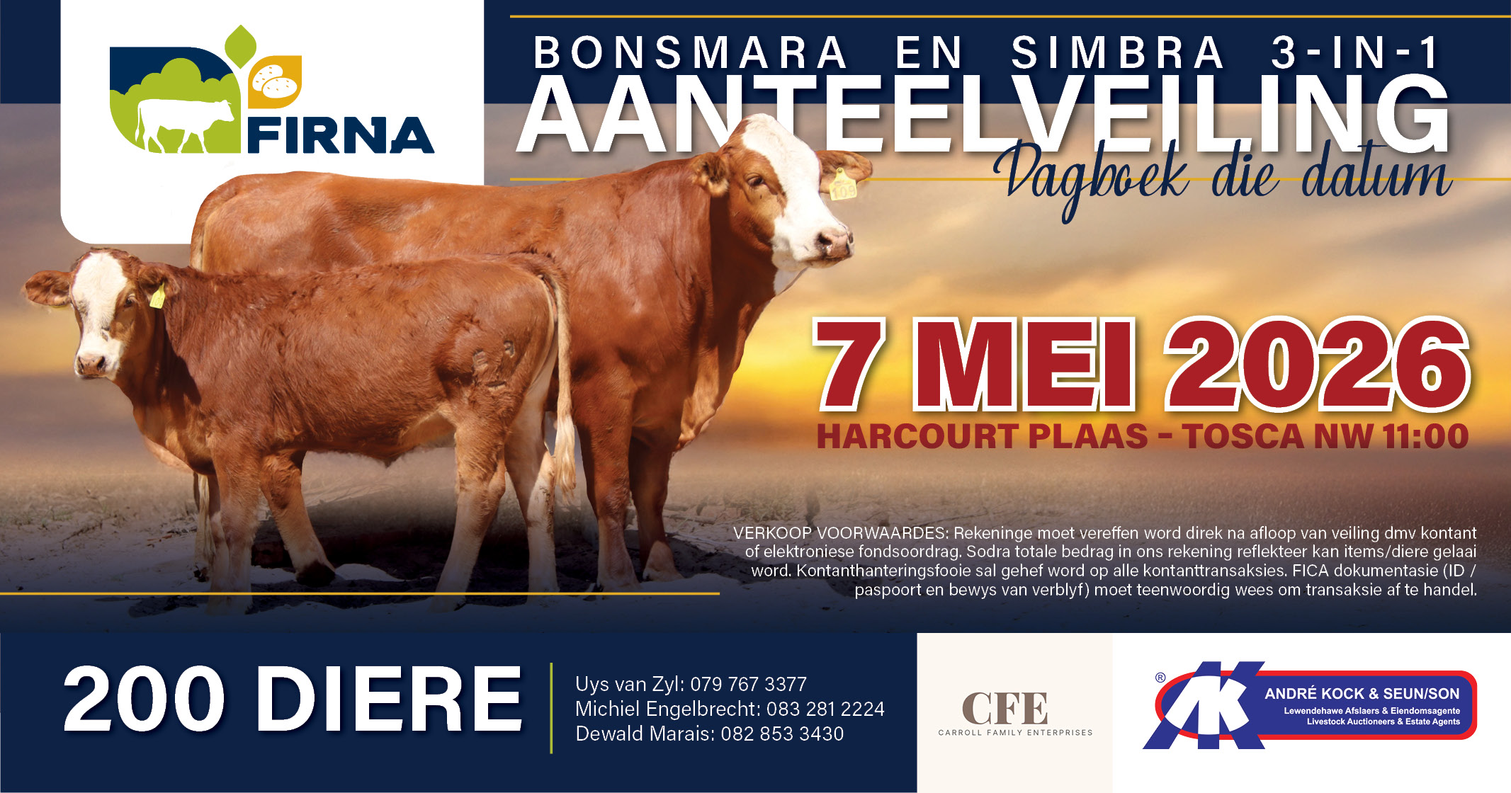 Save the date | Bonsmara & Simbra 3-in-1 breeding auction | 11:00 | Firna
