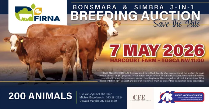 Save the date | Bonsmara & Simbra 3-in-1 breeding auction | 11:00 | Firna