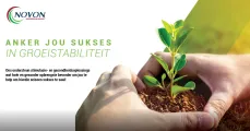 Anker jou sukses in groeistabiliteit | Novon