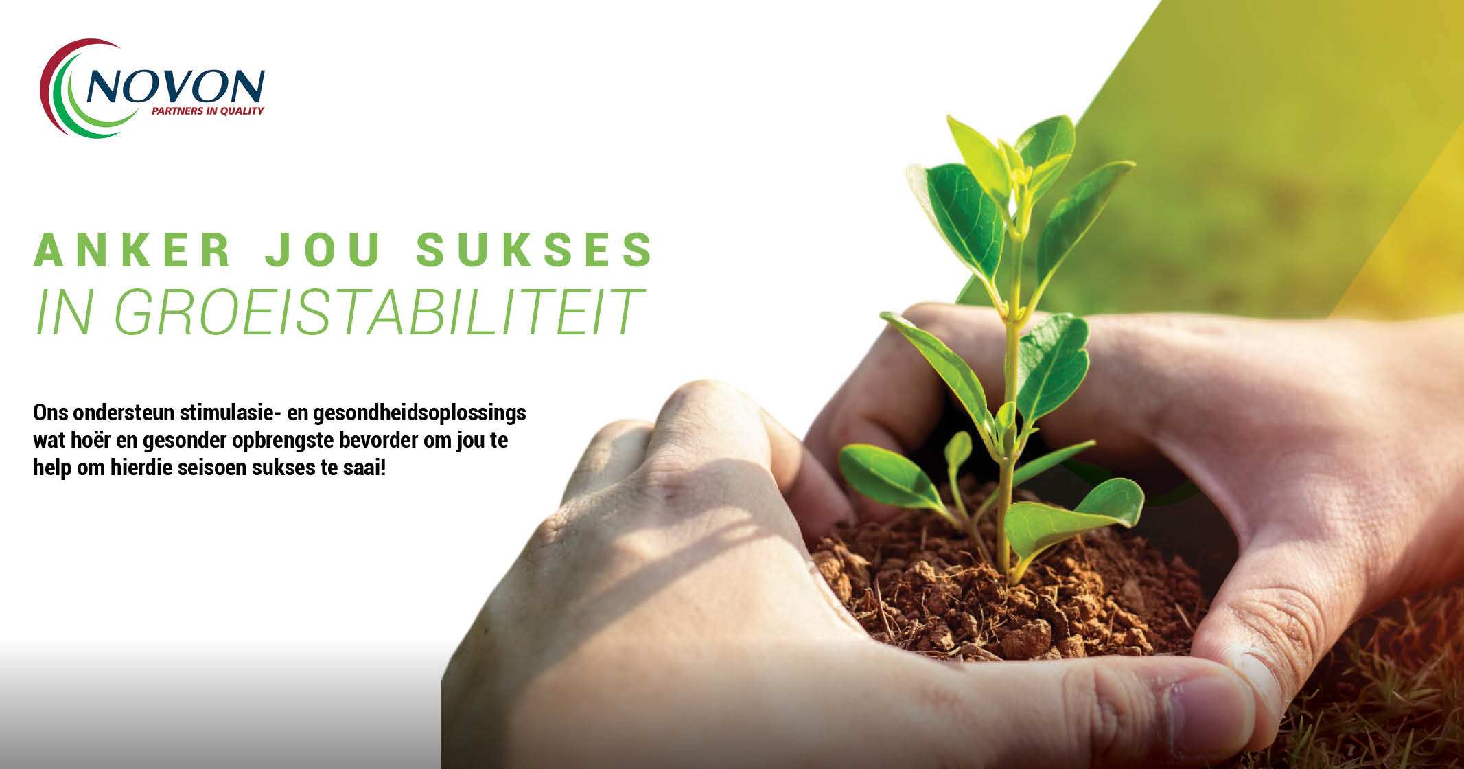 Anker jou sukses in groeistabiliteit | Novon