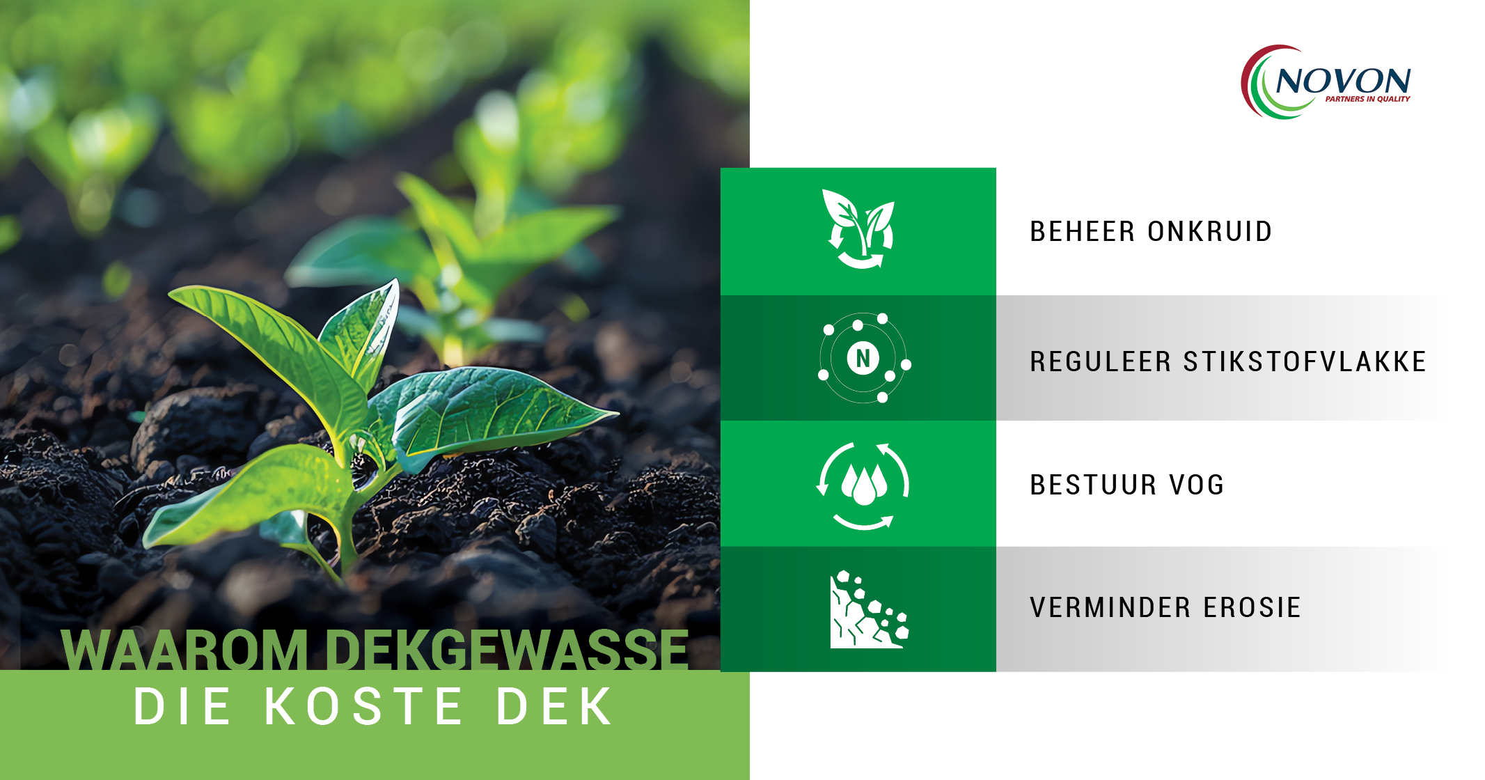 Waarom dekgewasse die koste dek | Novon