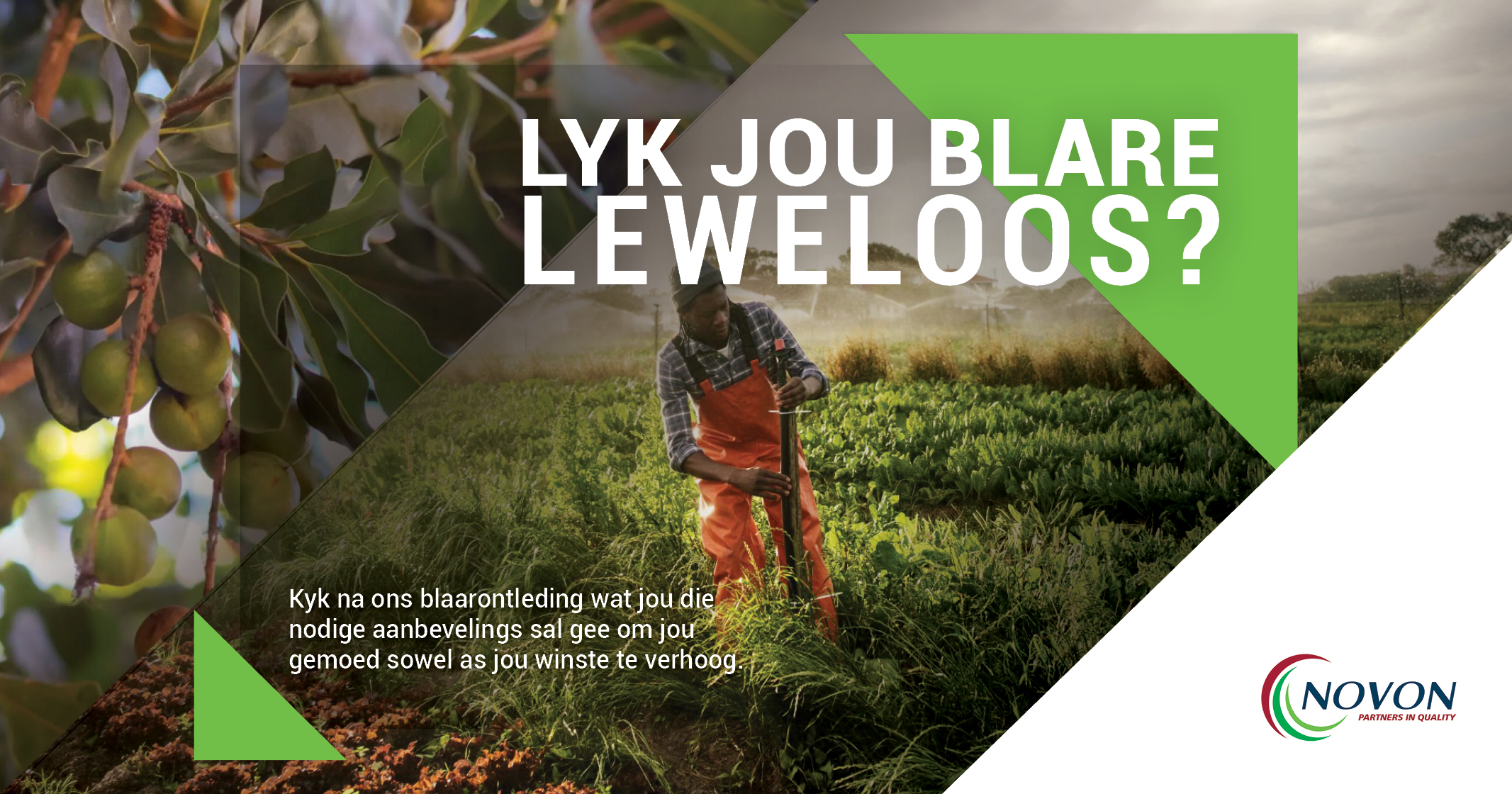 Lyk jou blare leweloos? | Novon