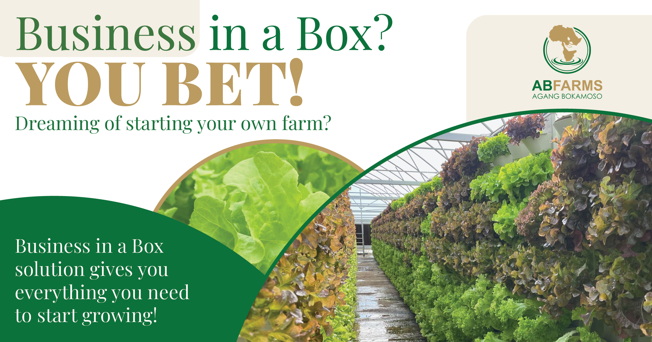 Business in a box | Everything you need to start growing in one complete solution | AB Farms