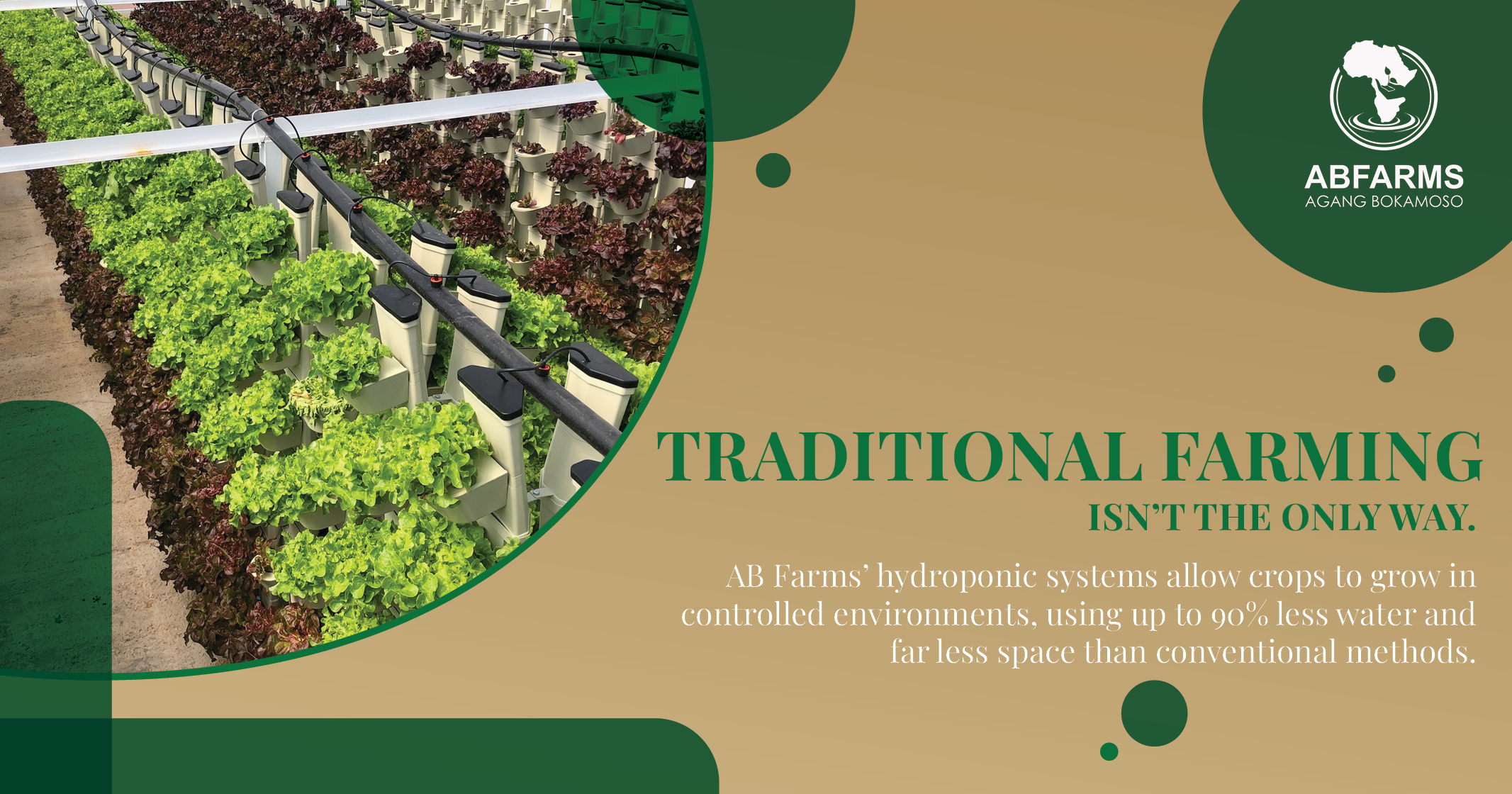 Hydroponic systems | AB Farms 