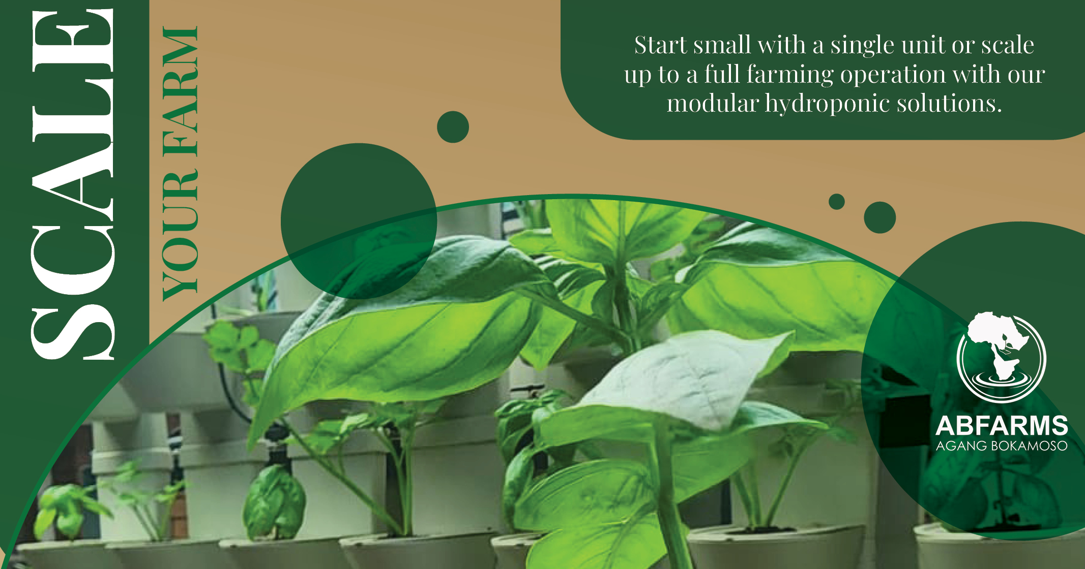 Modular hydroponic solutions | AB Farms 