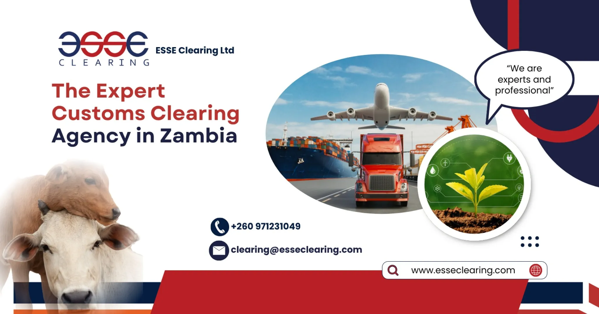 The Expert Customs Clearing Agency in Zambia