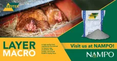 Feedtek Animal Feed Solutions at NAMPO | Precision layer nutrition starts with Layer Macro
