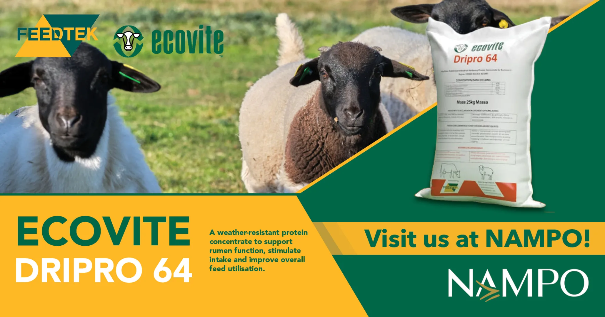 Support rumen function with Ecovite Dripro 64 | Visit Feedtek Animal Feed Solutions at NAMPO 2026