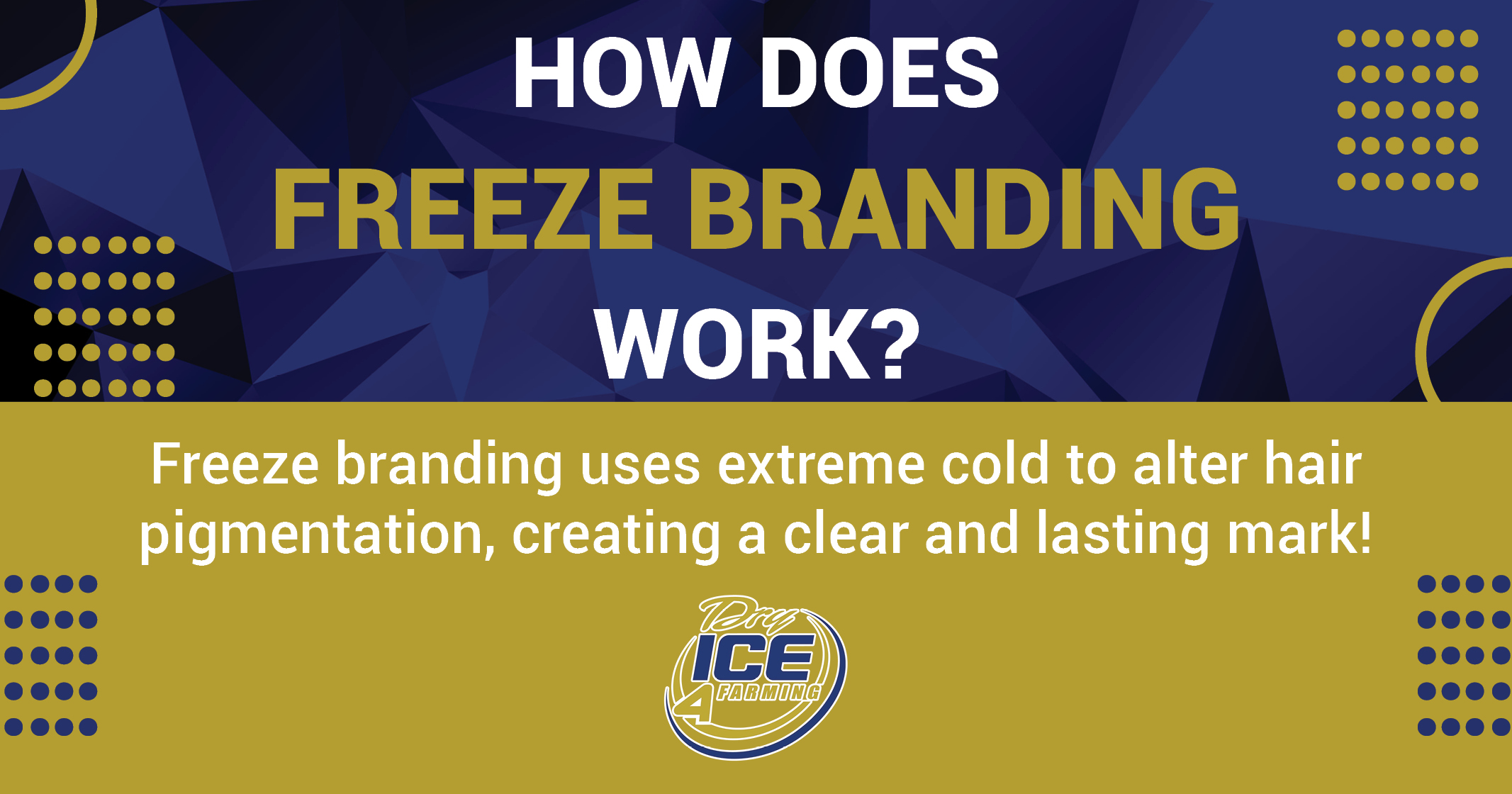 How Does Freeze Branding Work? | Dry Ice 4 Farming