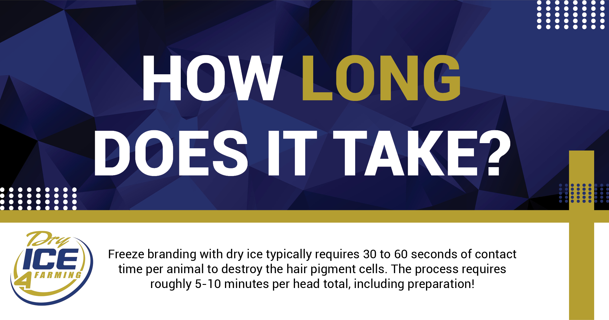 How Long Does It Take? | Dry Ice 4 Farming