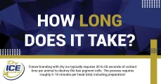 How Long Does It Take? | Dry Ice 4 Farming