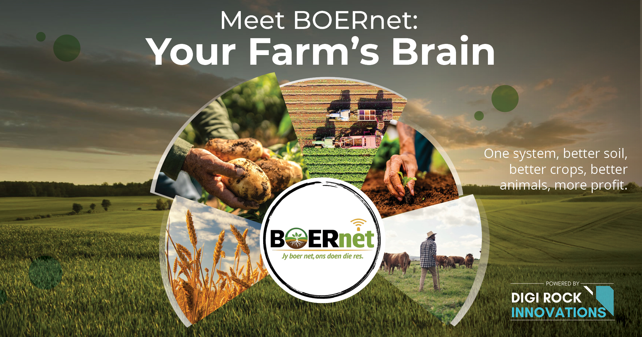 Meet BOERnet: Your farm's brain | All your farm data. One platform. One decision layer.