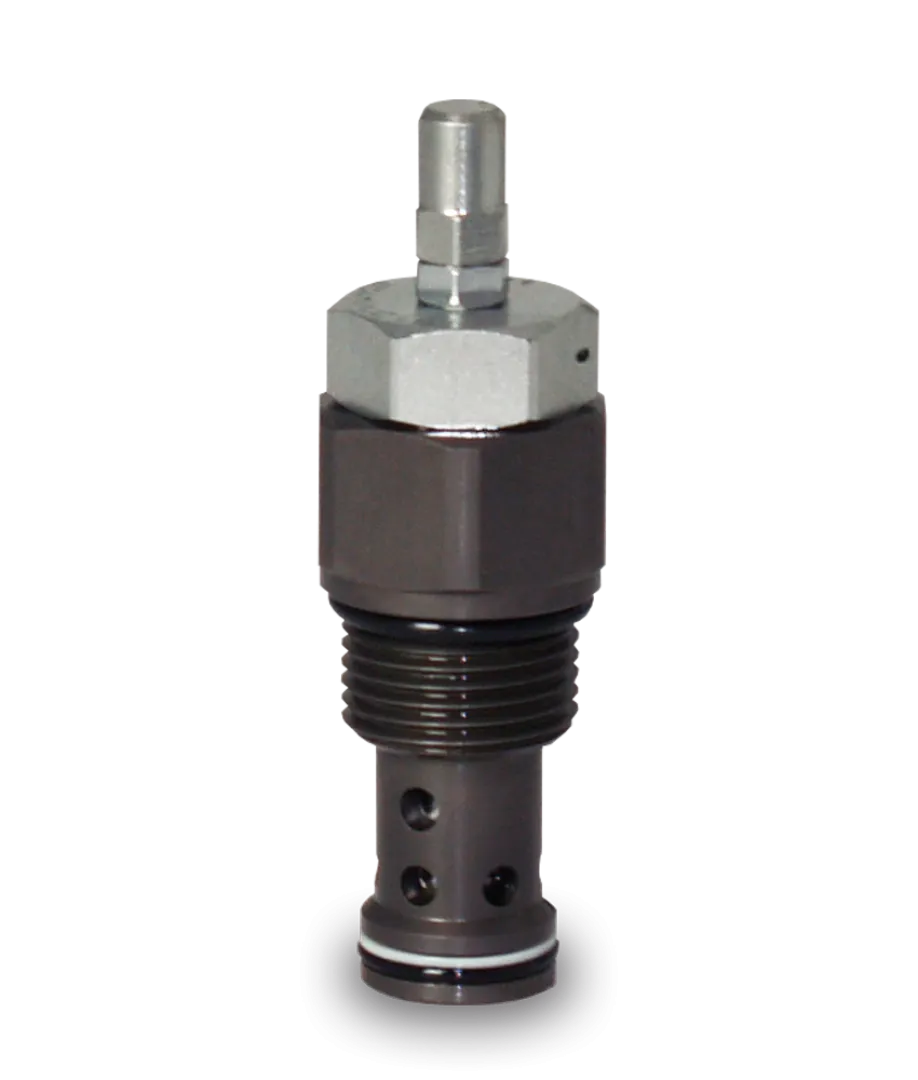SW..A SW..A 2 way, pressure release, pilot operated, spool type | Interpump Hydraulics South Africa
