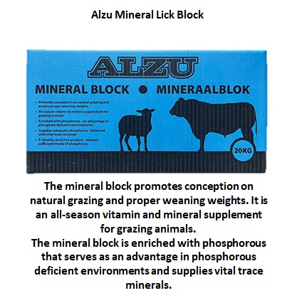 The Alzu Mineral Lick Block | Outdoor Innovation