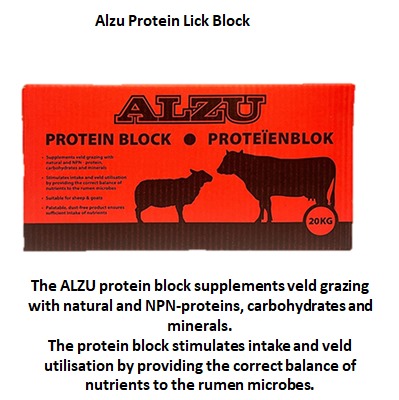 The Alzu Protein Lick Block | Outdoor Innovation