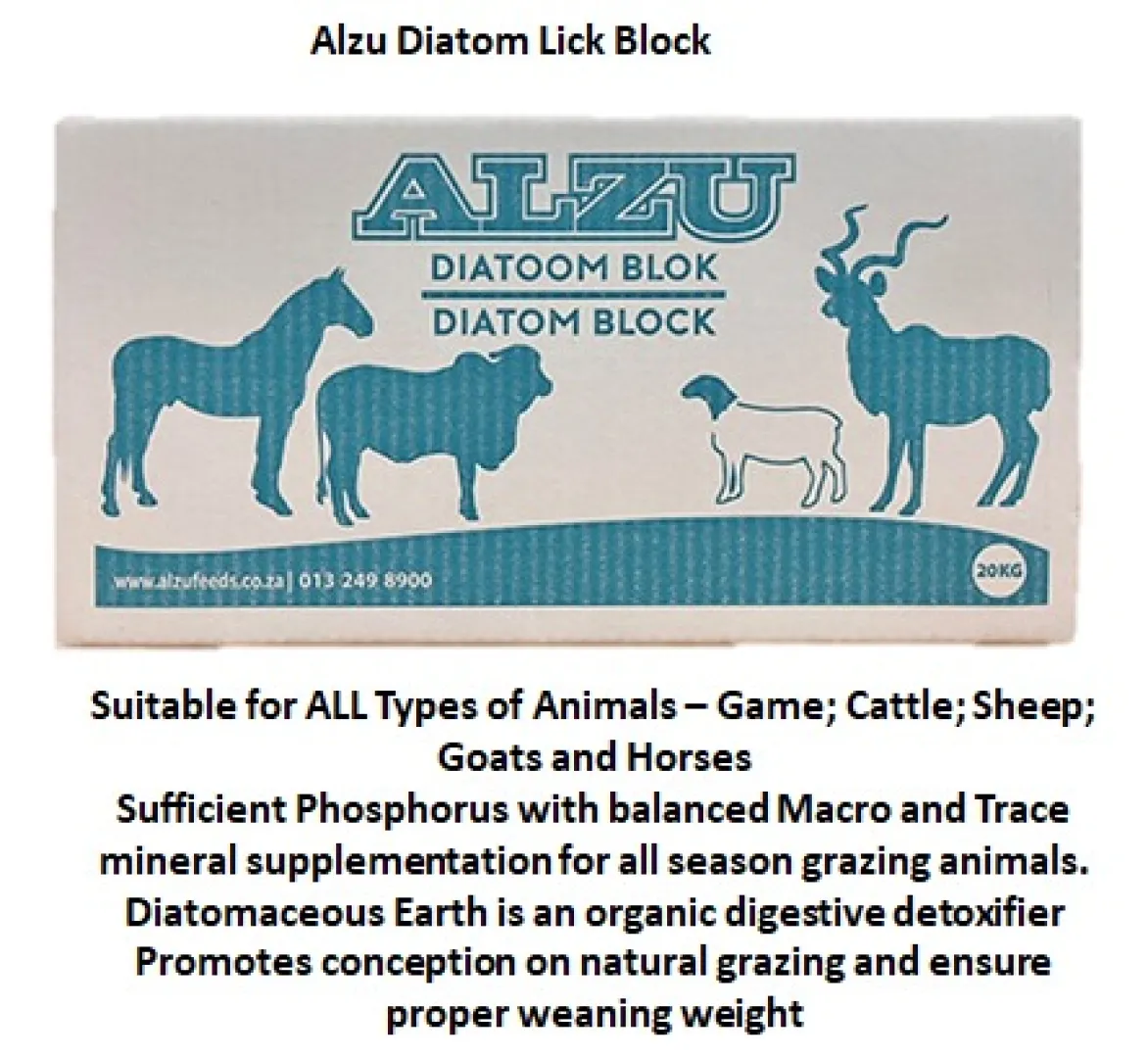 The Alzu Diatom Lick Block | Outdoor Innovation
