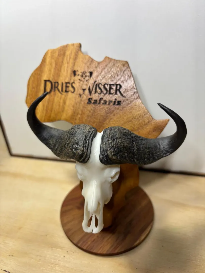 Hand Made Mini Skulls (Medium Head Trophies) | Outdoor Innovation