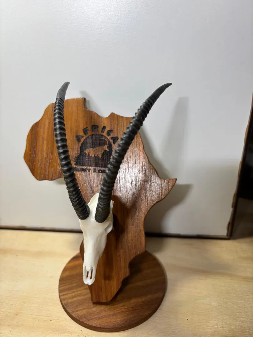 Hand Made Mini Skulls (Large Head Trophies) | Outdoor Innovation