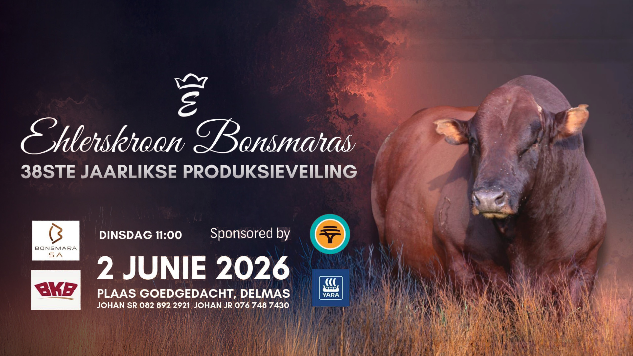 Ehlerskroon Bonsmaras 38ste Jaarlikse Produksieveiling | 2 Junie 2026 | 11:00 | Plaas Goedgedacht, Delmas