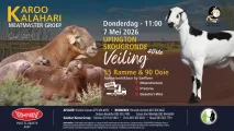 Karoo Kalahari Meatmaster Groep 40ste Veiling | 7 Mei 2026 | 11:00 | Upington Skougronde