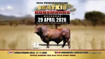 Skatkis Bonsmaras 27ste Produksieveiling | 29 April 2026 | 11:00 | Plaas Skatkis, Vryburg Area