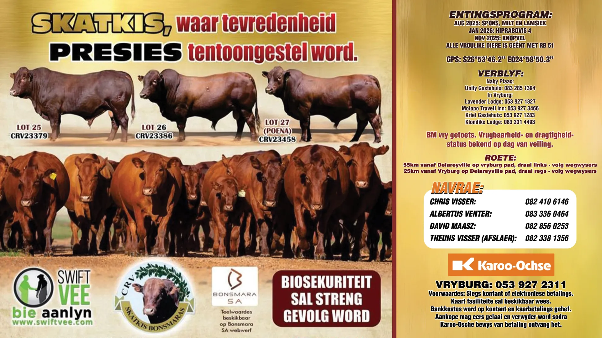 Skatkis Bonsmaras 27ste Produksieveiling | 29 April 2026 | 11:00 | Plaas Skatkis, Vryburg Area
