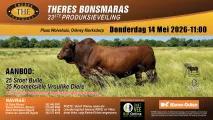 Theres Bonsmara 23ste Produksieveiling | 14 Mei 2026 | 11:00 | Plaas Wolvehuis, Orkney Klerksdorp 