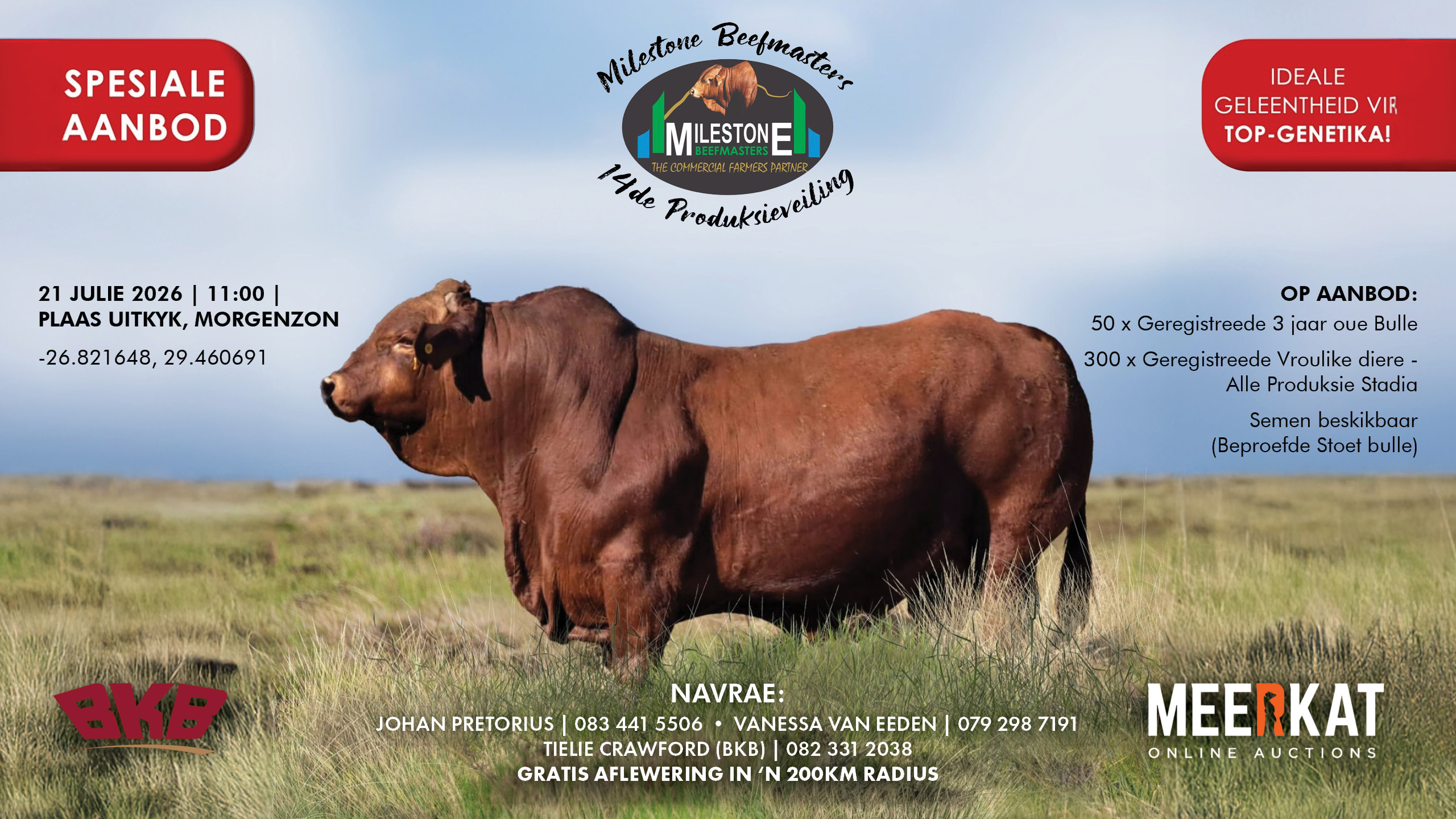 Milestone Beefmasters 14de Produksieveiling | 21 Julie | 11:00 | Plaas Uitkyk, Morgenzon