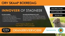 Oranjeriviervoere Skaap Boeredag 6 Mei 2026 | Prieska: Innoveer of Stagneer