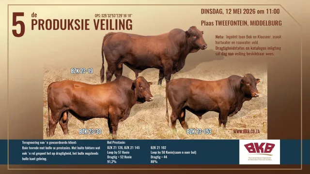 Timal Bonsmaras 5de Produksie Veiling | 12 Mei 2026 | 11:00 | Plaas Tweefontein, Middelburg