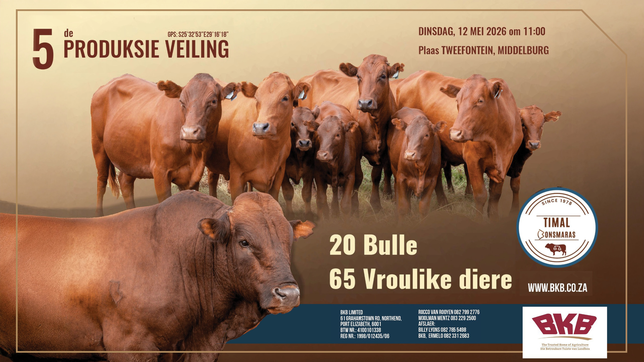 Timal Bonsmaras 5de Produksie Veiling | 12 Mei 2026 | 11:00 | Plaas Tweefontein, Middelburg