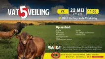 VAT 5 Veiling | 22 Mei 2026 | 11:00 | NKLH Veilingskrale Kimberley 