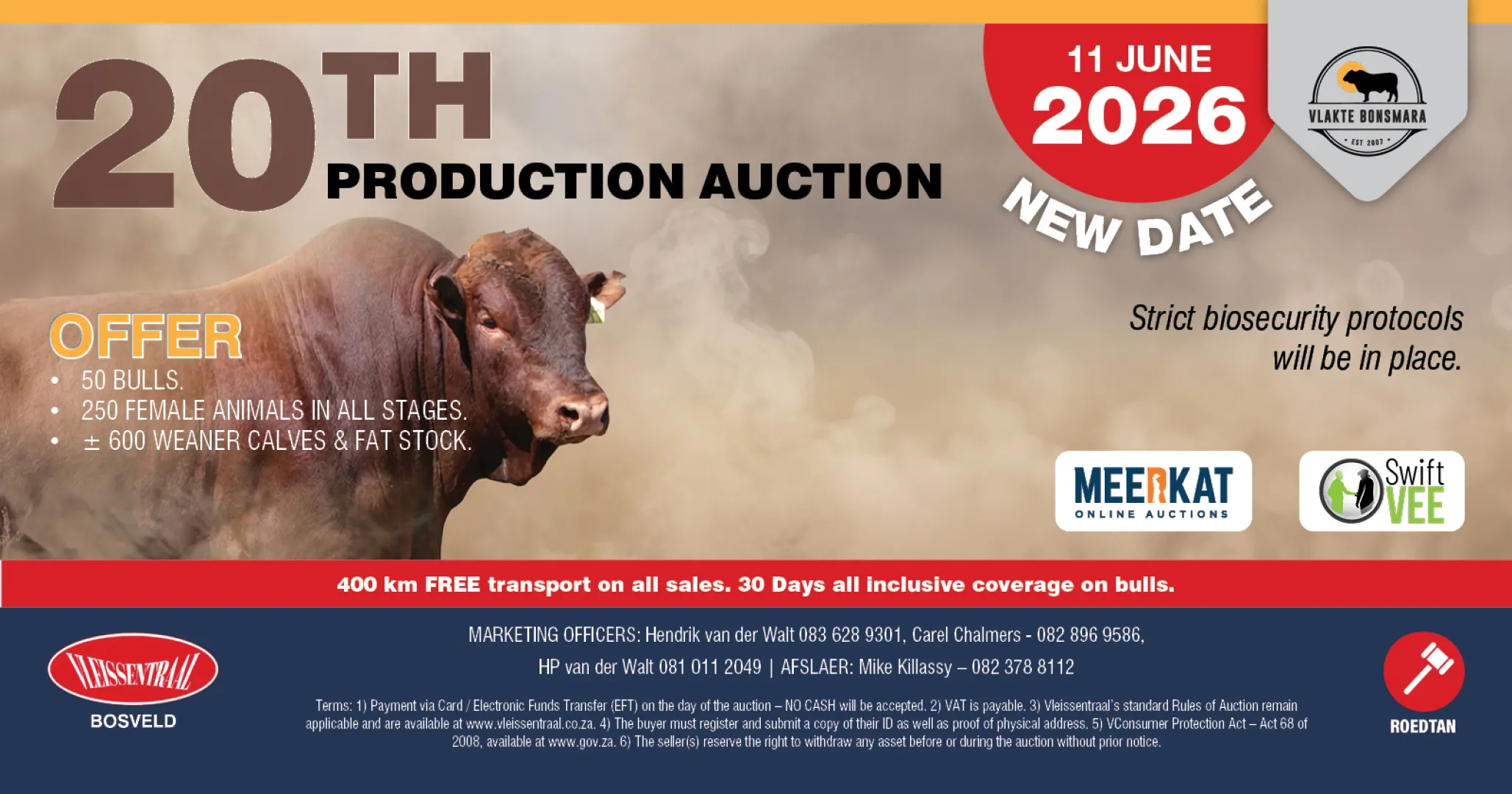 Nuwe datum vir Vlakte Bonsmara Studiegroep se 20ste produksieveiling | 11 Junie 2026