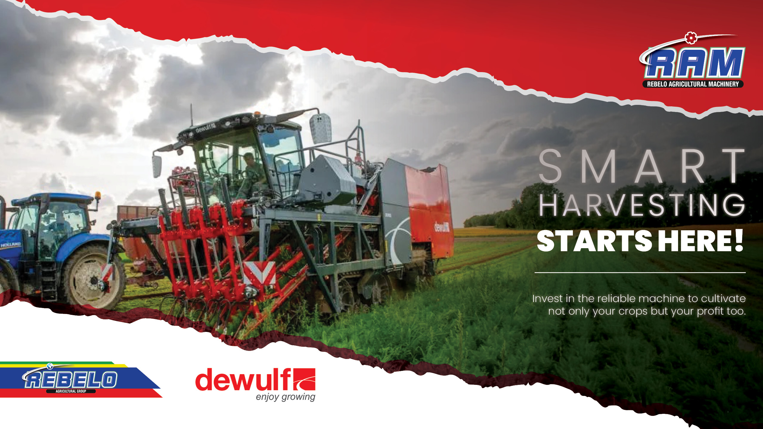 Dewulf Carrot harvesters | Rebelo Agricultural Group