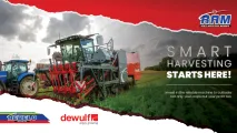 Dewulf Carrot harvesters | Rebelo Agricultural Group