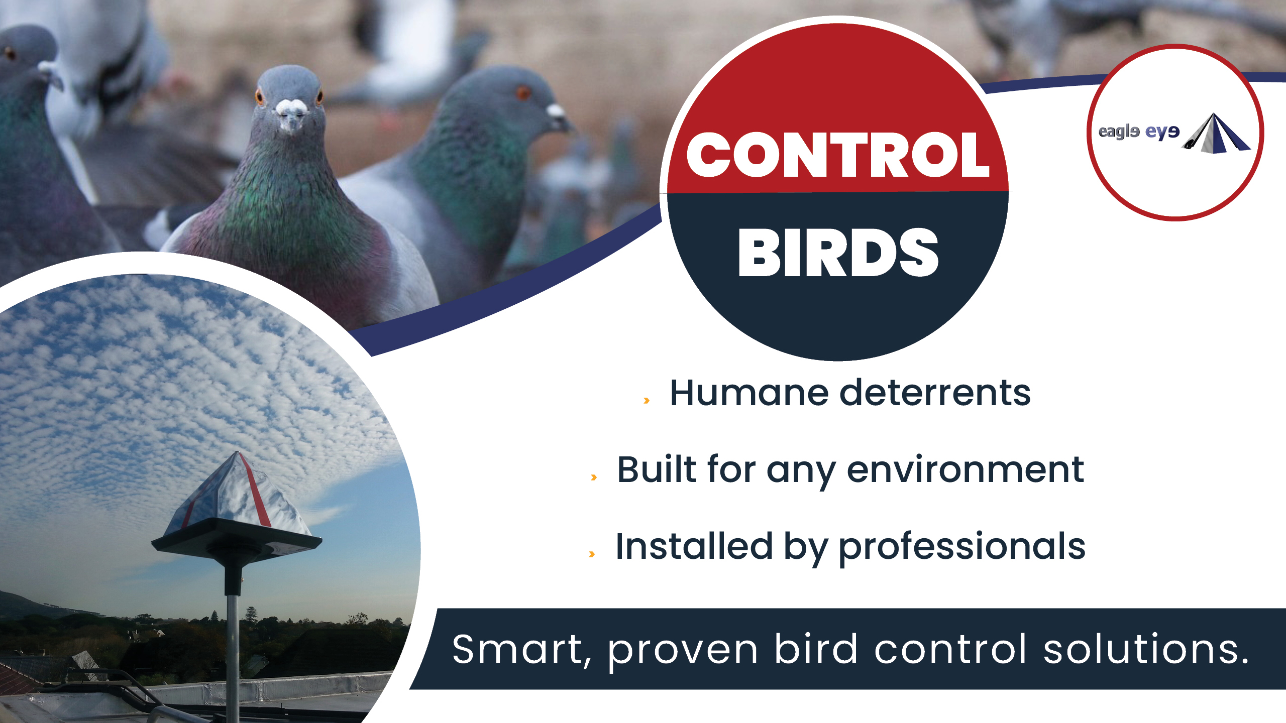 Humane Professional Bird Deterrents | Eagle Eye Bird Control