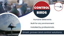 Humane Professional Bird Deterrents | Eagle Eye Bird Control